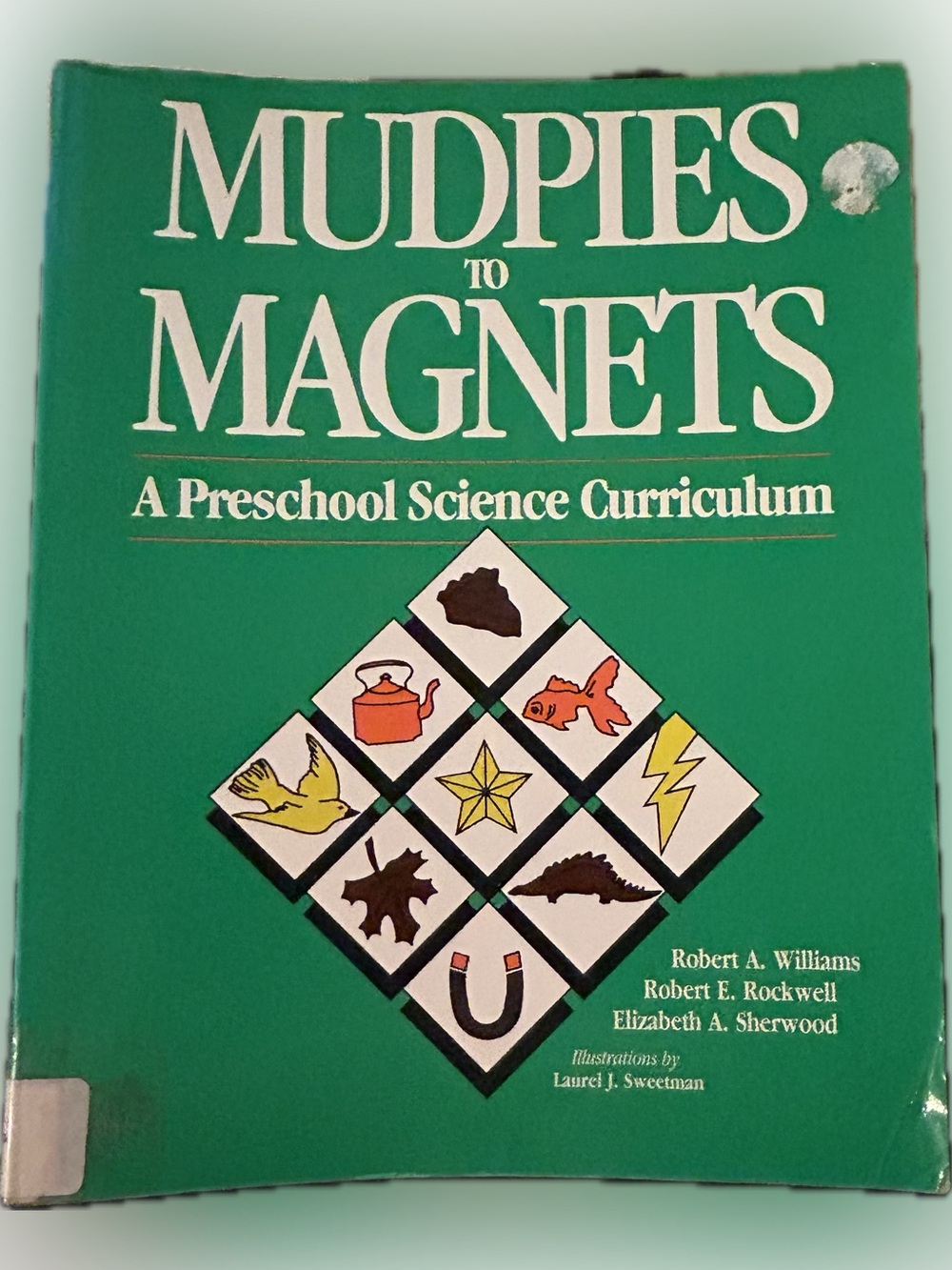 Mud Pies to Magnets: A Preschool Science Curriculum Book